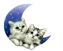 Katzen im Mond